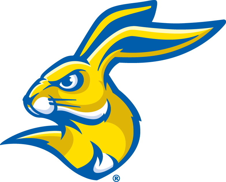 South Dakota State Jackrabbits 2008-Pres Partial Logo v2 DIY iron on transfer (heat transfer)